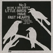 LITTLE BIRDS HAVE FAST HEARTS NO.2